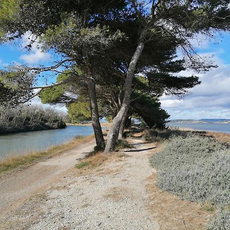Entre Mer Et Roseaux - Piscine - Proche Centre Et Mer - Petfriendly Port-la-Nouvelle Exteriör bild