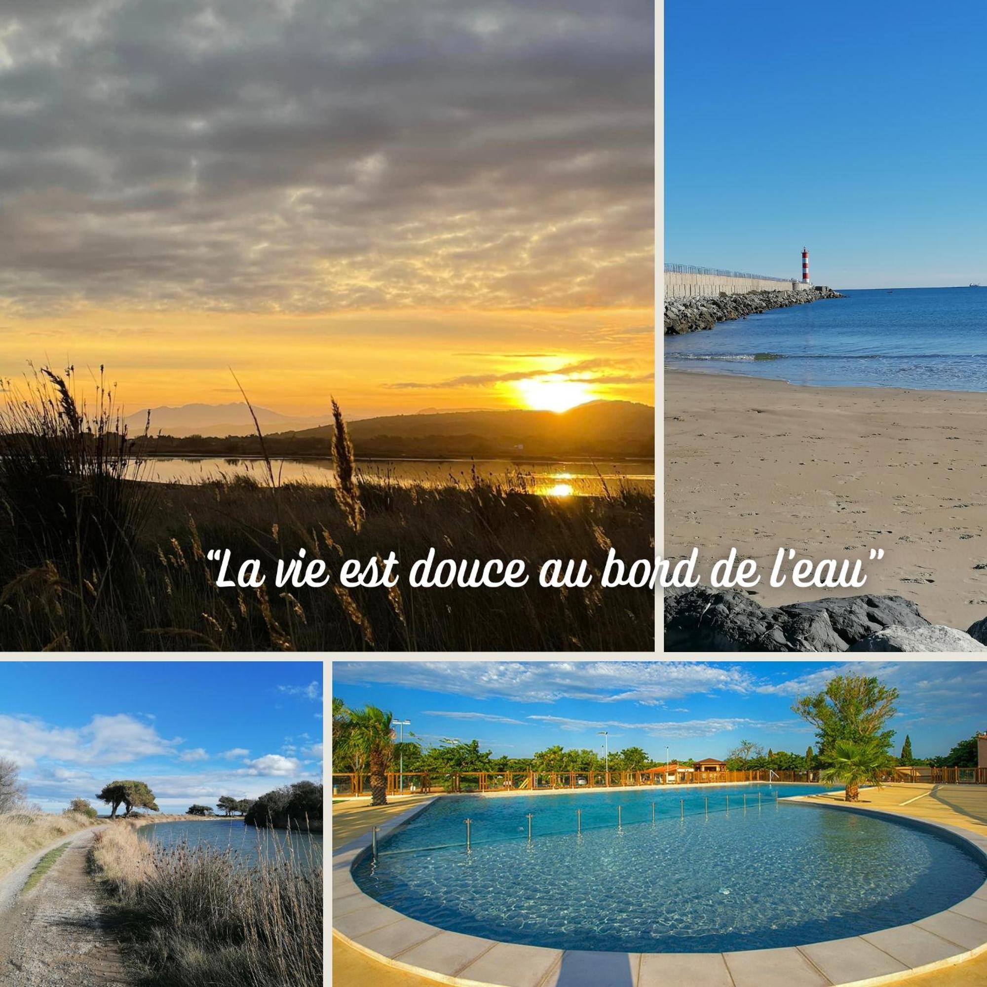Entre Mer Et Roseaux - Piscine - Proche Centre Et Mer - Petfriendly Port-la-Nouvelle Rum bild