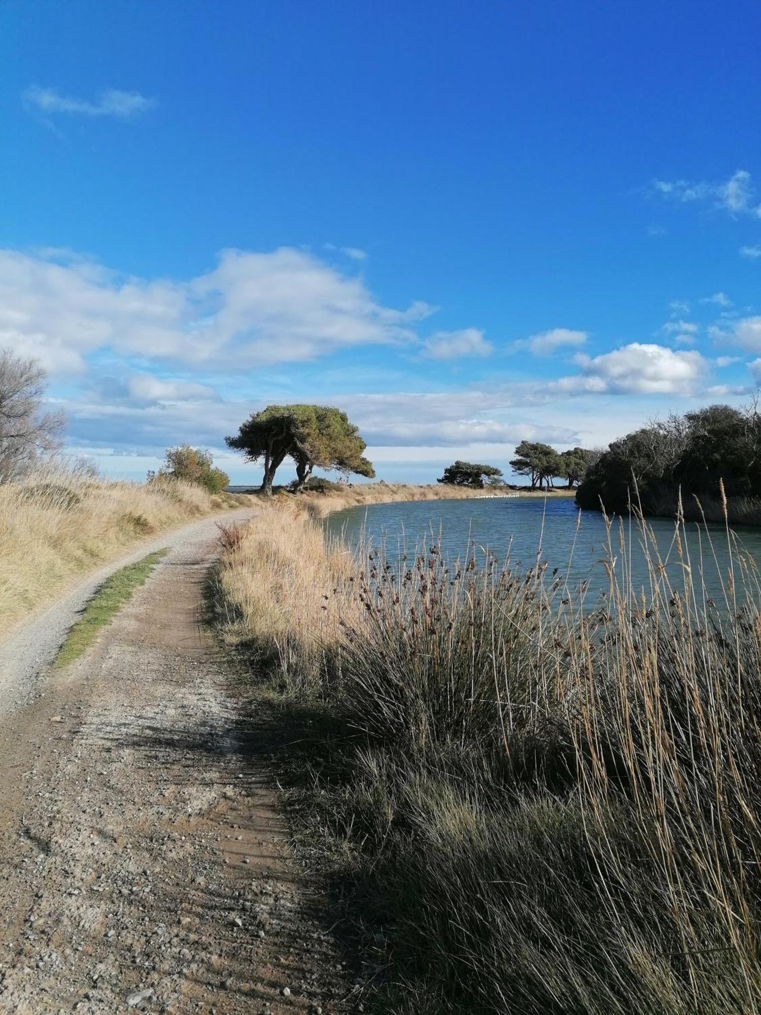 Entre Mer Et Roseaux - Piscine - Proche Centre Et Mer - Petfriendly Port-la-Nouvelle Exteriör bild